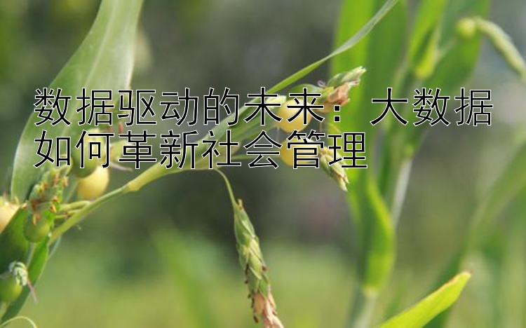 数据驱动的未来：大数据如何革新社会管理