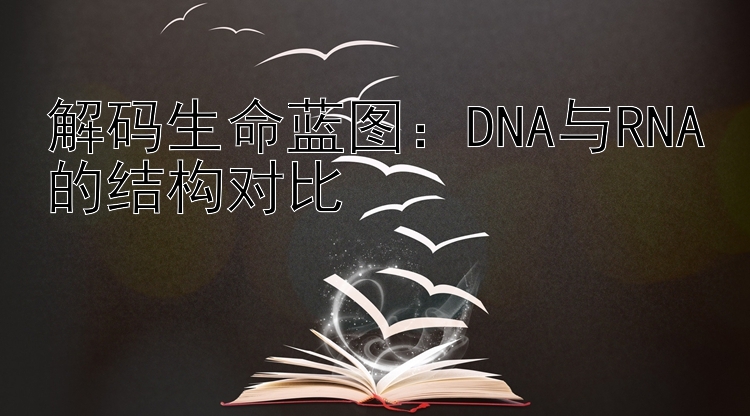 解码生命蓝图：DNA与RNA的结构对比