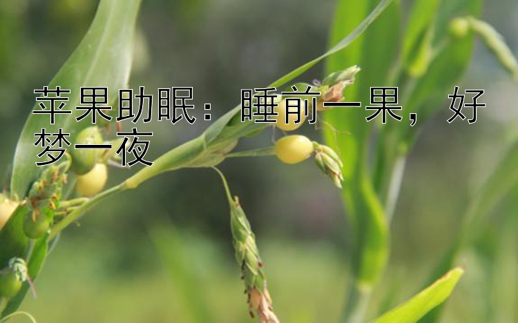 苹果助眠：睡前一果，好梦一夜