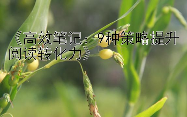 《高效笔记：9种策略提升阅读转化力》