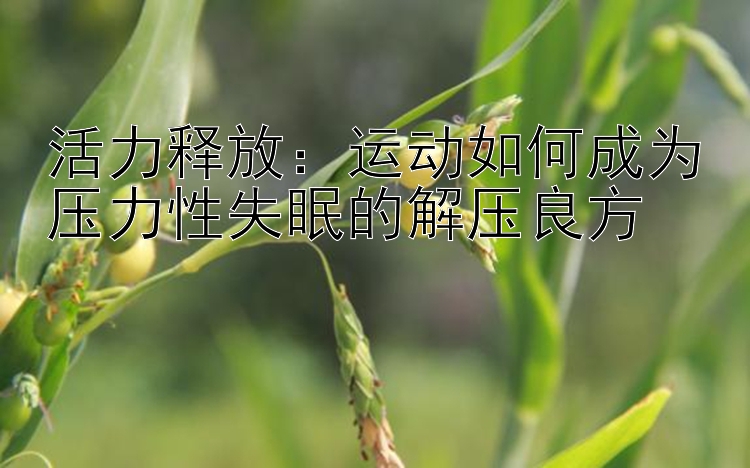 活力释放：运动如何成为压力性失眠的解压良方